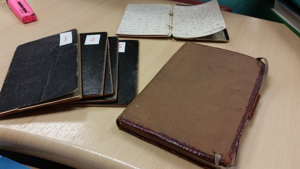 The diaries of Robert Long