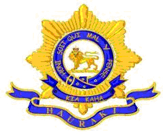 6th Hauraki Insignia