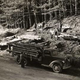 Logs being loaded onto a truck (c. 1955)