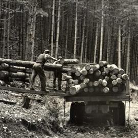 Logs being loaded onto a trailer (c. 1955)