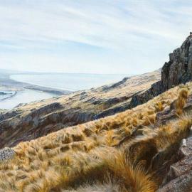 Morning Shadows, Port Hills by Fiona Goulding (2013)