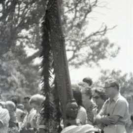 Te Awanui Waka at Maungatapu Pā (1973)