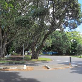 Brown Street looking west from Willow Street intersection