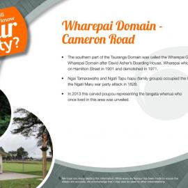 Fact Sheet: Wharepai Domain - Cameron Road