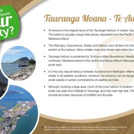 Fact sheet: Tauranga Moana - Te Awanui