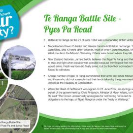 Fact sheet: Te Ranga Battle Site