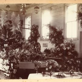 Photograph by Mary Humphreys