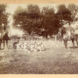 Photograph by Mary Humphreys