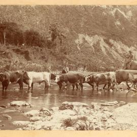 Photograph by Mary Humphreys