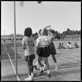 Netball in Katikati.