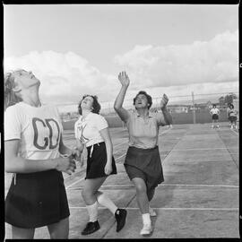 Netball in Katikati.