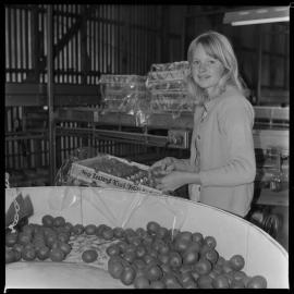 Katikati Advertiser. Packing kiwifruit at Kauri Point.