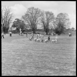 Combined schools field day at Paengaroa showgrounds?