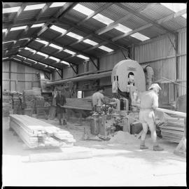 Interior of the Tuck Bros sawmill, in Park Road, Katikati, milling its last timber after 35 years of operation.