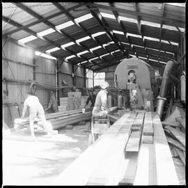 Interior of the Tuck Bros sawmill, in Park Road, Katikati, milling its last timber after 35 years of operation.