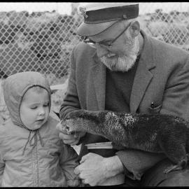 "Captain" Tom Allison, Marineland head keeper, feeding an otter.