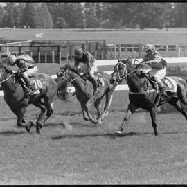 Horse racing. Jockey Gary Bell urging on Scalpel in the Cup Day Steeples.