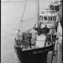Boy Roel departs Tauranga