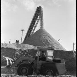 Woodchip Complex, Mount Maunganui