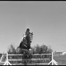 Horse jumping