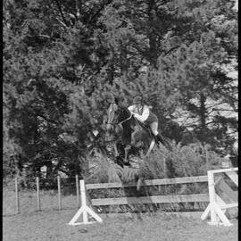 Jane Francis and "Maestosa"