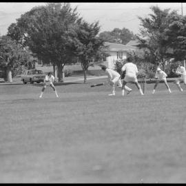 Albion vs Tauranga Boys' College - Cricket