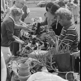 Te Puke Lions Club auction