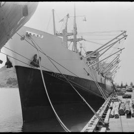 Adelaide Star - Mt Maunganui