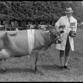 Waihī A&P Show highlights - Fauval Trophy