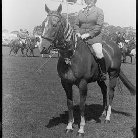 Waihī A&P Show highlights