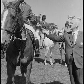 Waihī A&P Show highlights