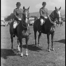 Waihī A&P Show highlights