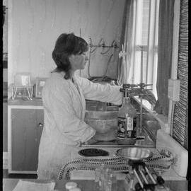 Mrs Swan - Fruit Juice Factory