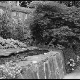 A Special Garden - Molly Reid