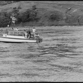Auckland divers blast Tanea Shelf