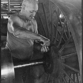 Jack Cooney - Te Puna Sawmill