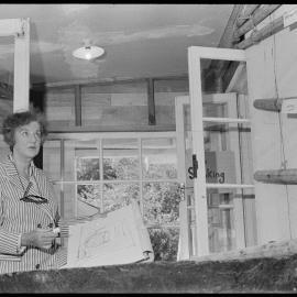 Betty Brookes - Auckland museum display artist