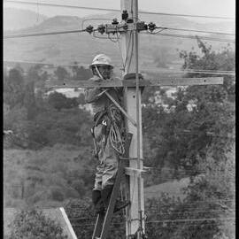 Workers from Power Board