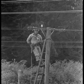 Workers from Power Board