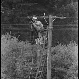 Workers from Power Board