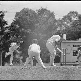 St Kentigern College - Cricket