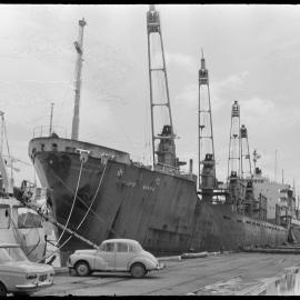 Hakuyo Maru at Mt Maunganui