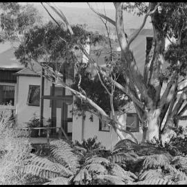 Maungatapu feature home - External