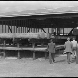 Timber Industry Training Centre
