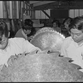 Malay forestry students