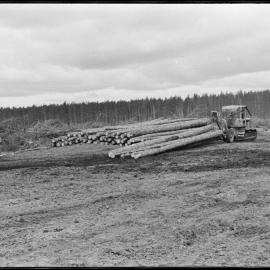 Timber Industry Training Centre