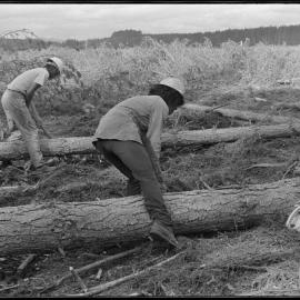 Timber Industry Training Centre