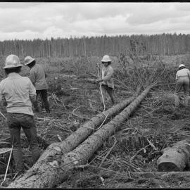 Timber Industry Training Centre