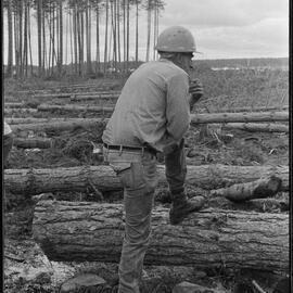 Timber Industry Training Centre