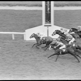 Horses at the finishing post